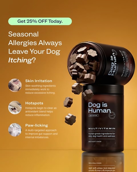 A 4:5 vertical ad creative for a dog multivitamin that uses a problem-solution structure to address common seasonal allergy symptoms in pets.